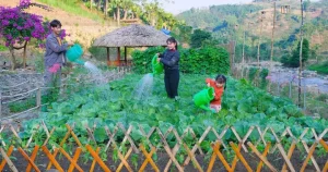 Trang Trại Đẹp Như Tranh Giúp Chàng Trai Mường Thu Tiền Tỉ Mỗi Năm ...