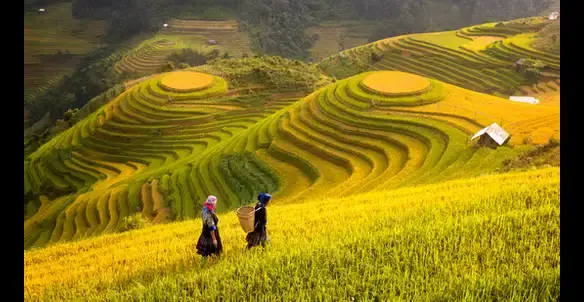 Top 20 Cảnh Đẹp Thiên Nhiên Việt Nam Thu Hút Khách Du Lịch Top 20 Cảnh Đẹp Thiên Nhiên Việt Nam Thu Hút Khách Du Lịch