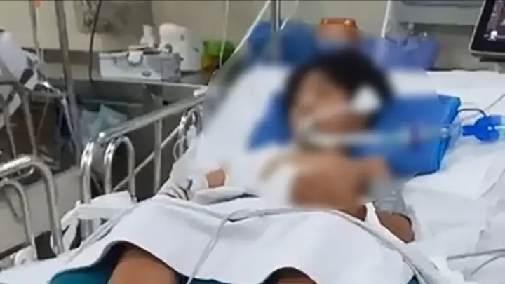 Tp.hcm: Bé Trai 10 Tuổi Trên Đường Đi Học Về Bị Nhánh Cây Rơi Trúng ... Tp.hcm: Bé Trai 10 Tuổi Trên Đường Đi Học Về Bị Nhánh Cây Rơi Trúng ...