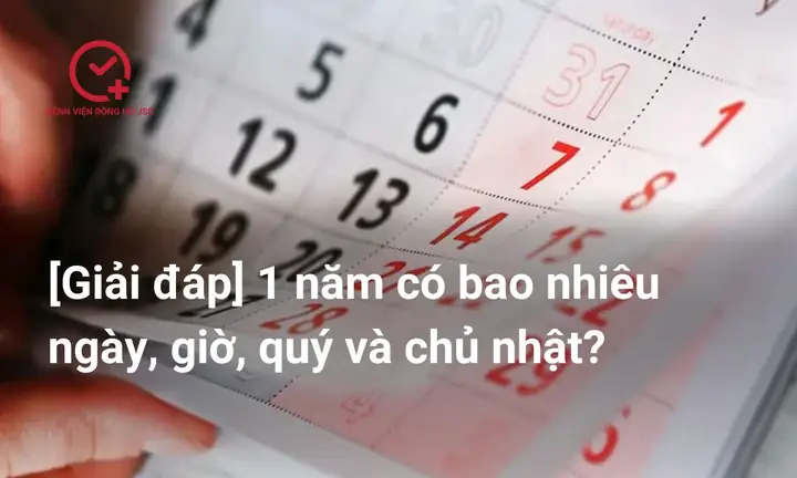 Năm Có Bao Nhiêu Ngày, Giờ, Quý Và Chủ Nhật?