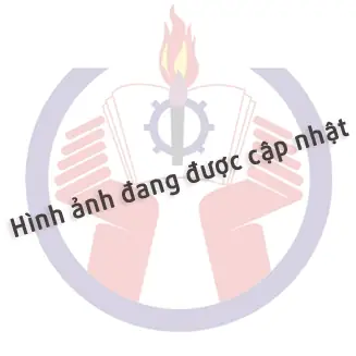 Trường Tiểu Học Lê Lợi