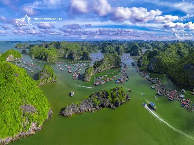 Làng Chài Cái Bèo: Khám Phá Văn Hóa Địa Phương Làng Chài Cái Bèo: Khám Phá Văn Hóa Địa Phương