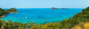 Vé Máy Bay Từ Tp. Hồ Chí Minh Đi Rạch Giá Giá Rẻ | Vietnam Airlines