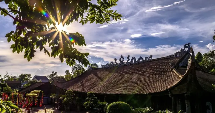 "từ Trà Cổ Rừng Dương Đến Cà Mau Rừng Đước" | Vietnam+ ...