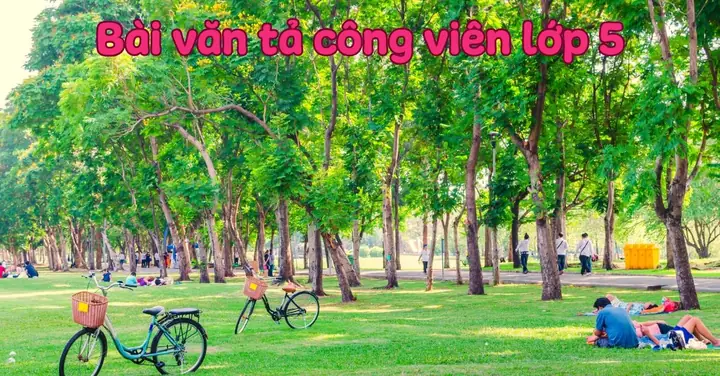 Tuyển Chọn 25 Bài Văn Tả Công Viên Lớp 5 Hay, Sinh Động, Điểm Cao