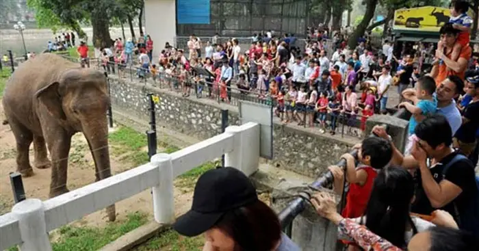 Tả Công Viên Thủ Lệ (10 Mẫu) - Tập Làm Văn Lớp 5
