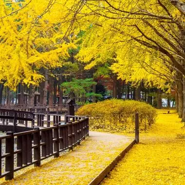 Tranh Dán Tường Phong Cảnh Thiên Nhiên Đẹp, Sống Động