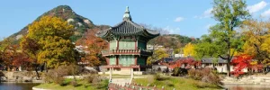 Vé Máy Bay Đi Seoul Giá Rẻ | Vietnam Airlines