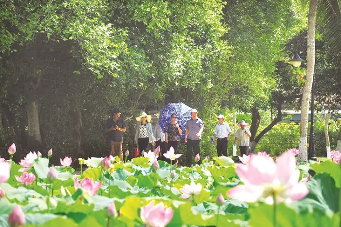 Thời Gian Về Thăm Quê Bác - Làng Sen