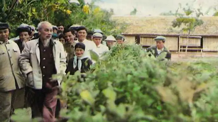 Ngôi Nhà Của Bác