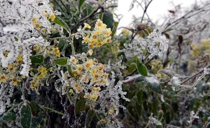 Đặc Điểm Khí Hậu
