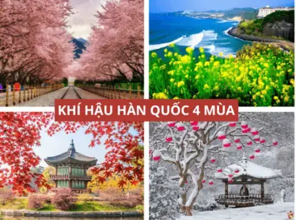Ảnh Hưởng Của Khí Hậu Đến Đời Sống Và Sản Xuất Ảnh Hưởng Của Khí Hậu Đến Đời Sống Và Sản Xuất