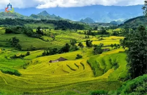 Du Lịch Bền Vững​ Là Gì? Các Loại Hình Du Lịch Bền Vững Ở Việt Nam