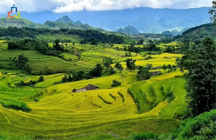Du Lịch Bền Vững​ Là Gì? Các Loại Hình Du Lịch Bền Vững Ở Việt Nam