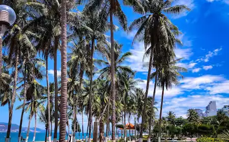 Top Tran Phu Beach Hotels (nha Trang) - Expedia Top Tran Phu Beach Hotels (nha Trang) - Expedia