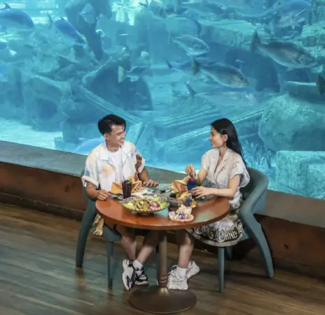 Vinpearl Phú Quốc Nên Ở Khu Nào
