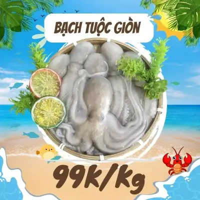 🌊 Các Loại Hải Sản Phổ Biến Tại Vựa Lộc: 🌊 Các Loại Hải Sản Phổ Biến Tại Vựa Lộc: