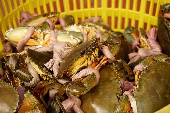 10 Vựa Hải Sản Quảng Ninh Tươi Ngon, Đáng Đồng Tiền Bát Gạo 10 Vựa Hải Sản Quảng Ninh Tươi Ngon, Đáng Đồng Tiền Bát Gạo