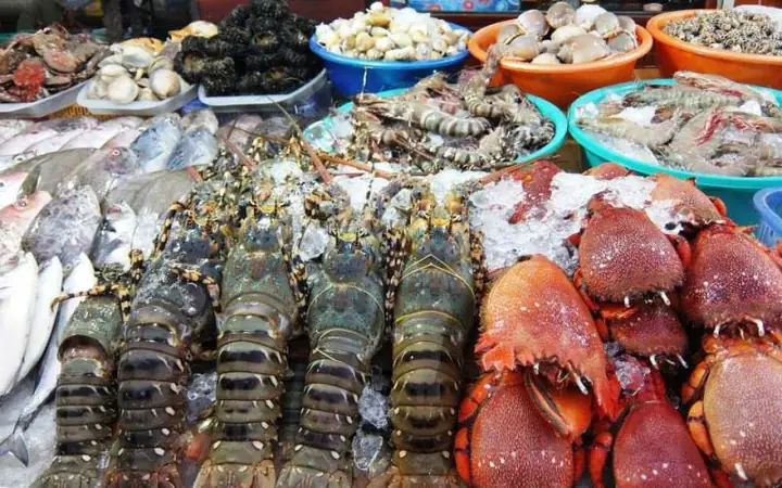 Top 7 Vựa Hải Sản Ở Tphcm Tươi Sống Chất Lượng Mới Nhất