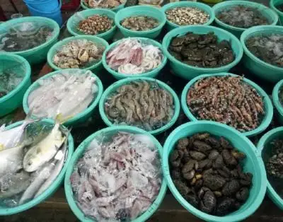 Top 12 Chợ Đầu Mối, Vựa Hải Sản Tươi Sống Giá Sỉ Lớn Nhất Tại Sài Gòn Top 12 Chợ Đầu Mối, Vựa Hải Sản Tươi Sống Giá Sỉ Lớn Nhất Tại Sài Gòn