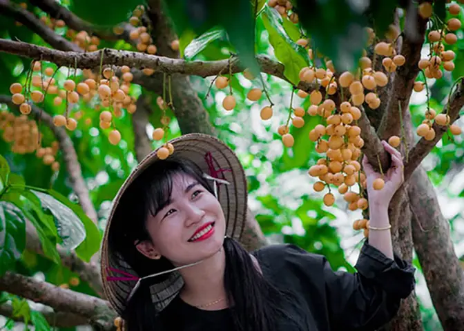 Vui Chơi, Trải Nghiệm Vườn Du Lịch Sinh Thái Giáo Dương Cần Thơ