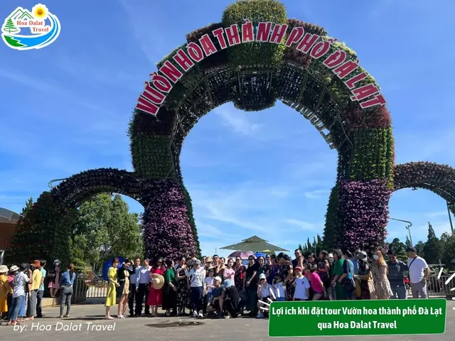 Lợi Ích Khi Đặt Tour Vườn Hoa Thành Phố Đà Lạt Qua Hoa Dalat Travel