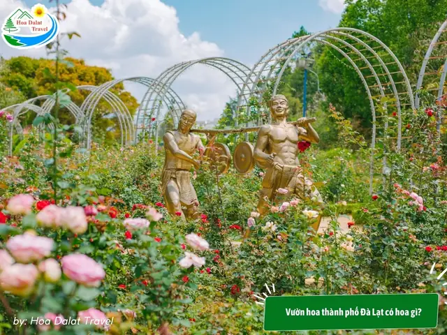 Vườn Hoa Thành Phố Đà Lạt Có Hoa Gì?