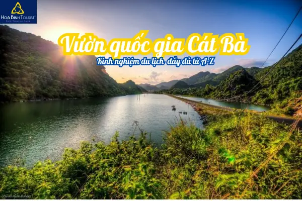 Kinh Nghiệm Du Lịch Vườn Quốc Gia Cát Bà Từ A-z Kinh Nghiệm Du Lịch Vườn Quốc Gia Cát Bà Từ A-z