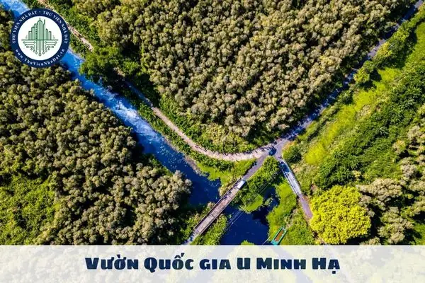 Tra Cứu Bảng Giá Đất Tỉnh Cà Mau Mới Nhất Ở Đâu?