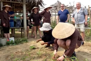 Vườn Rau Hữu Cơ Thanh Đông Cẩm Thanh Hội An