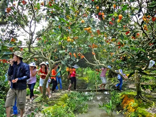 Ăn Gì Và Chơi Gì Tại Khu Vườn Trái Cây Trung An – Củ Chi Ăn Gì Và Chơi Gì Tại Khu Vườn Trái Cây Trung An – Củ Chi