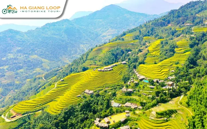 Hoang Su Phi – Stunning Rice Terraces In Winter Hoang Su Phi – Stunning Rice Terraces In Winter