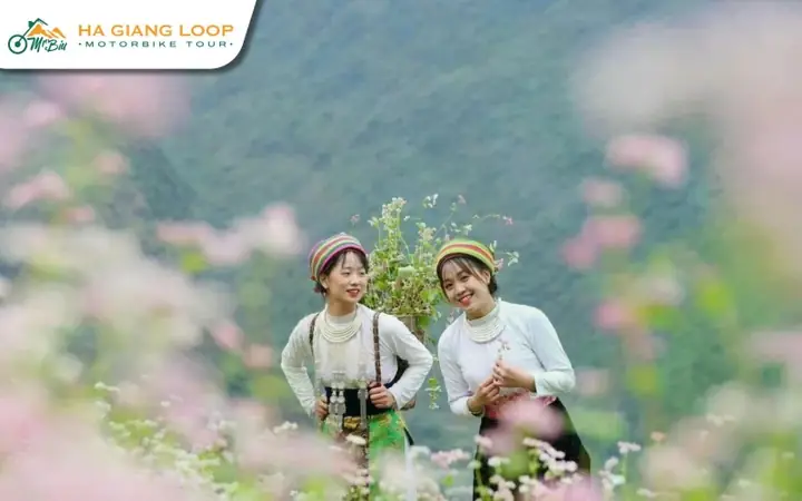 Embracing The Warmth Of Ha Giang’s People In The Winter Chill Embracing The Warmth Of Ha Giang’s People In The Winter Chill