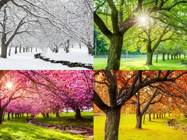 Seasons Of The Year In The United States And Which One Are We In ... Seasons Of The Year In The United States And Which One Are We In ...
