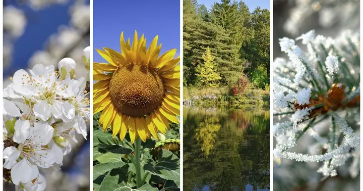 Seasons Of The Year: When Do They Start And End?