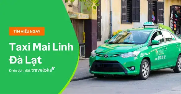 Review Taxi Mai Linh Đà Lạt: Giá Cước, Cách Đặt, Số Hotline