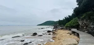 Bãi Đông Thanh Hóa: Kinh Nghiệm Du Lịch Chi Tiết A - Z