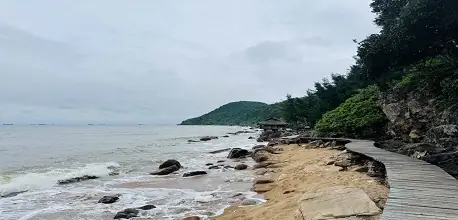Bãi Đông Thanh Hóa: Kinh Nghiệm Du Lịch Chi Tiết A - Z