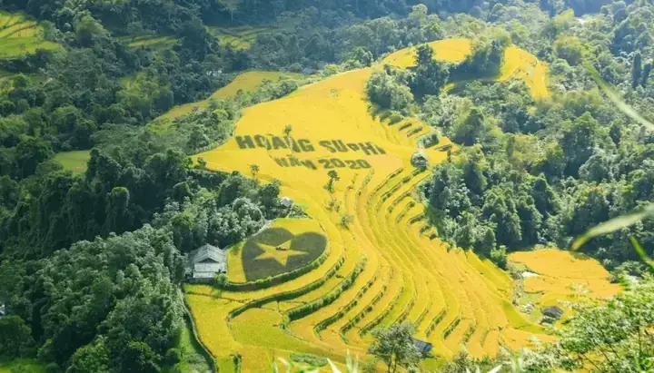 Lời Khuyên Cho Hành Khách Quốc Tế Và Người Chuẩn Bị Xuất Cảnh