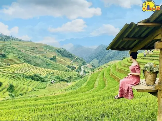 Top 7 Nhà Xe Chạy Tuyến Xe Khách Hà Nội Mù Cang Chải Uy Tín Hàng Đầu
