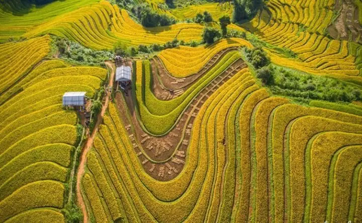 Nhà Xe Khách Hà Nội Mù Cang Chải Uy Tín Nhất