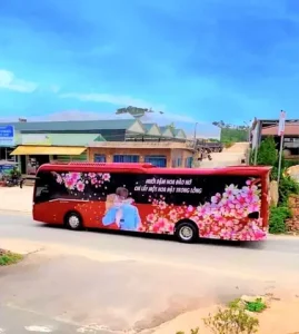 Xe Tam Quan Đi Đà Lạt: Cẩm Nang Di Chuyển Từ Tam Quan Đến Thành Phố Ngàn Hoa