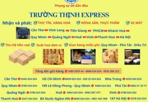 Tìm Số Điện Thoại Xe Trường Thịnh Quy Nhơn Mới Nhất - Xe ...