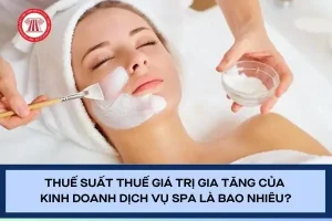 Thuế Suất Thuế Giá Trị Gia Tăng Của Dn Kinh Doanh Dịch Vụ Spa Là ...