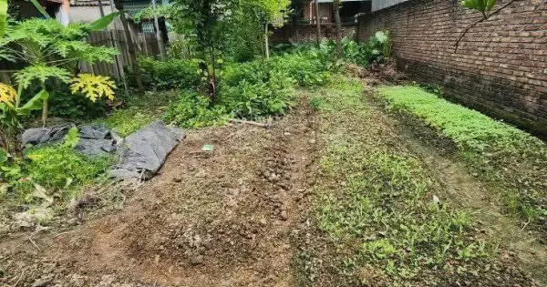 Mua Bán Đất Xã Yên Thường, Huyện Gia Lâm Giá Rẻ T12/2025