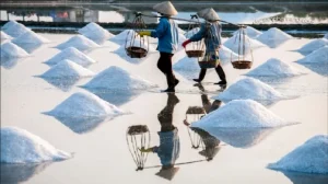 Top 10 Cánh Đồng Muối Đẹp Nhất Việt Nam - Mytour.vn