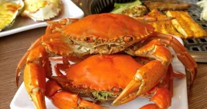 Nhóm Khách 7 Người Ăn Buffet Hà Nội Nhét 10kg Hải Sản Vào Túi ...