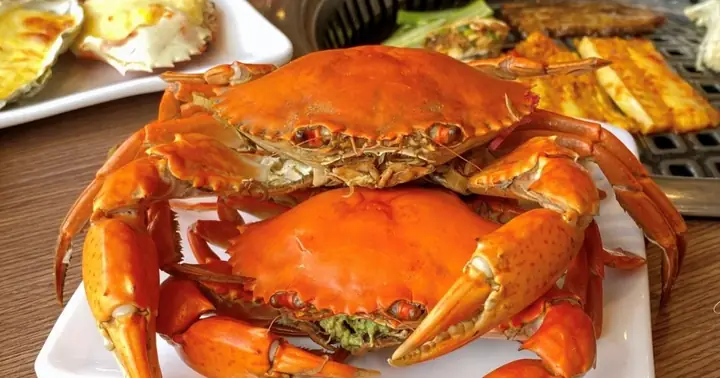 Nhóm Khách 7 Người Ăn Buffet Hà Nội Nhét 10kg Hải Sản Vào Túi ...