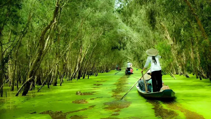 An Giang Miền Nào? Du Lịch An Giang Có Gì Hấp Dẫn? An Giang Miền Nào? Du Lịch An Giang Có Gì Hấp Dẫn?