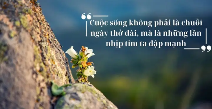 Bộ Sưu Tập Hình Ảnh Mang Thông Điệp Mạnh Mẽ